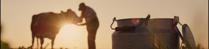 Agriculteur pourquoi souscrire une assurance responsabilité civile