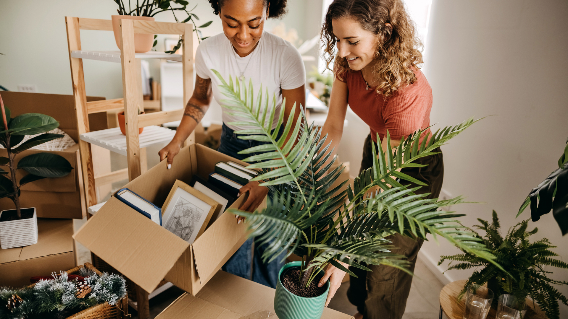 assurance habitation etudiant