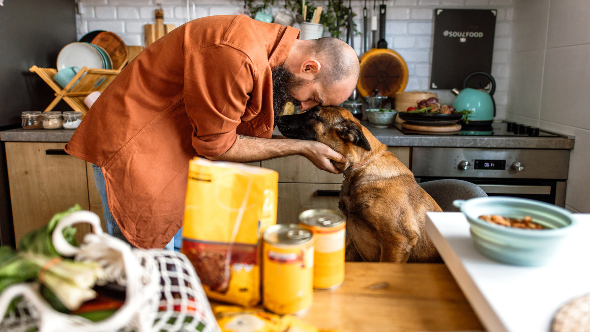 Assurance responsabilité civile pour chien