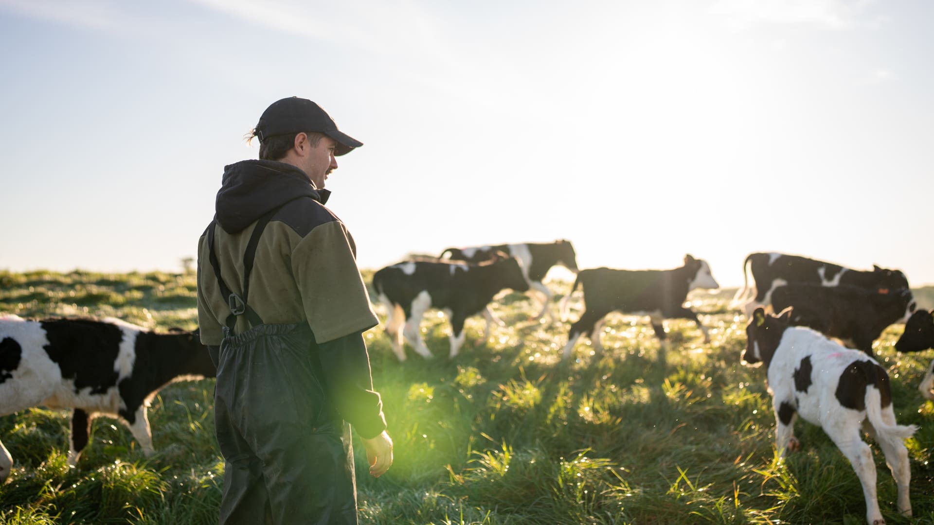 Mutuelle santé agricole