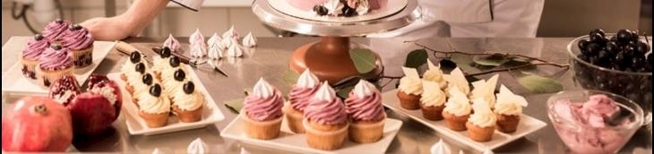 RC pro métiers de bouche