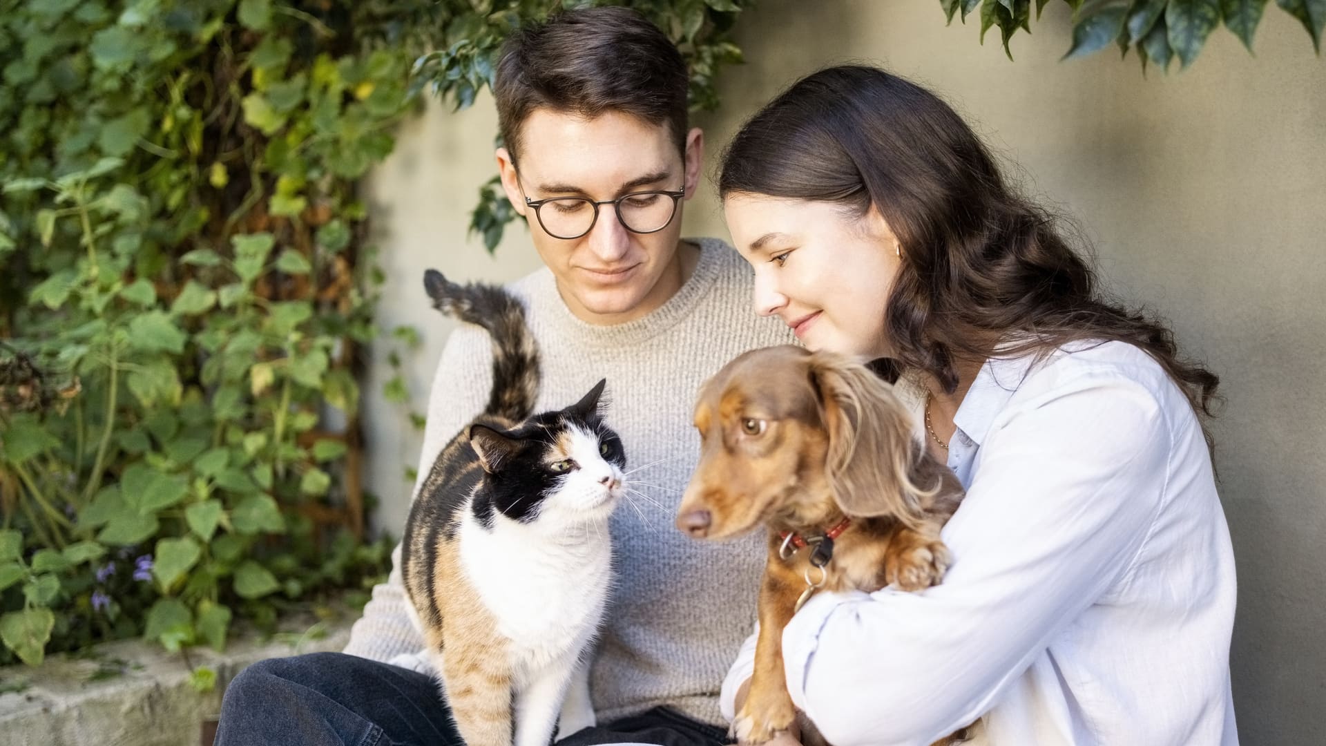 Baromètre de l'assurance animaux août 2025