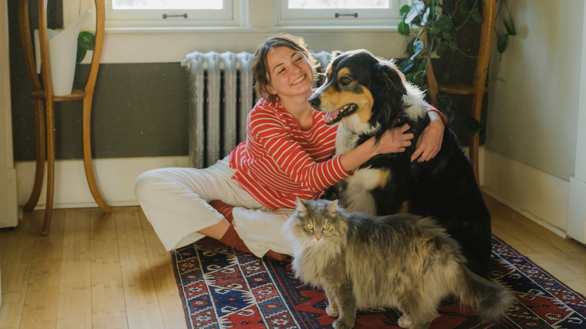 assurance chien et chat