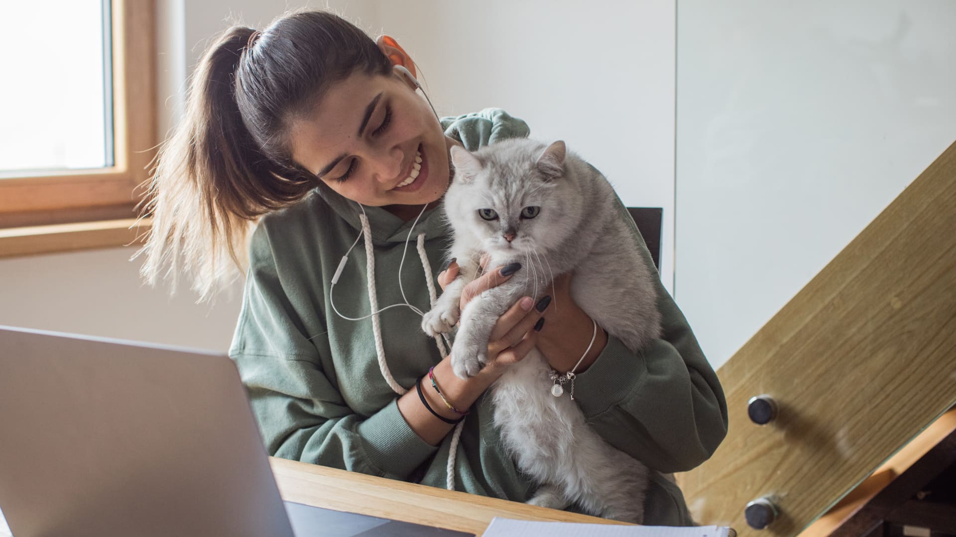 Races de chat officielles (LOOF)