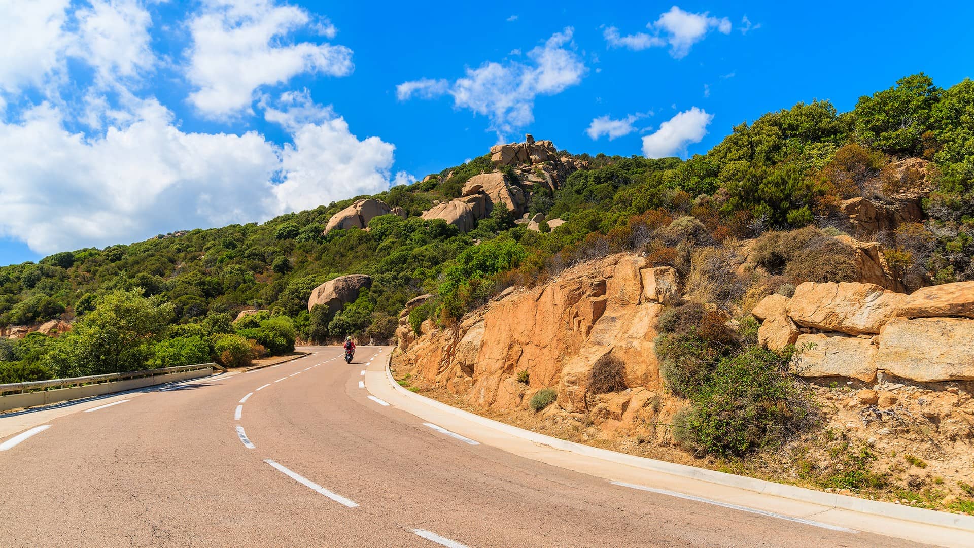 Corse : les excès de vitesse sont légion sur la RT11