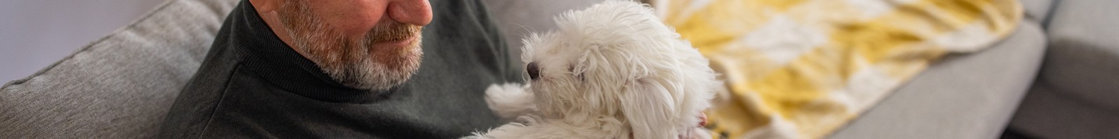 Les Français sont attachés à leurs animaux, mais hésitent à les assurer : comment expliquer ce 