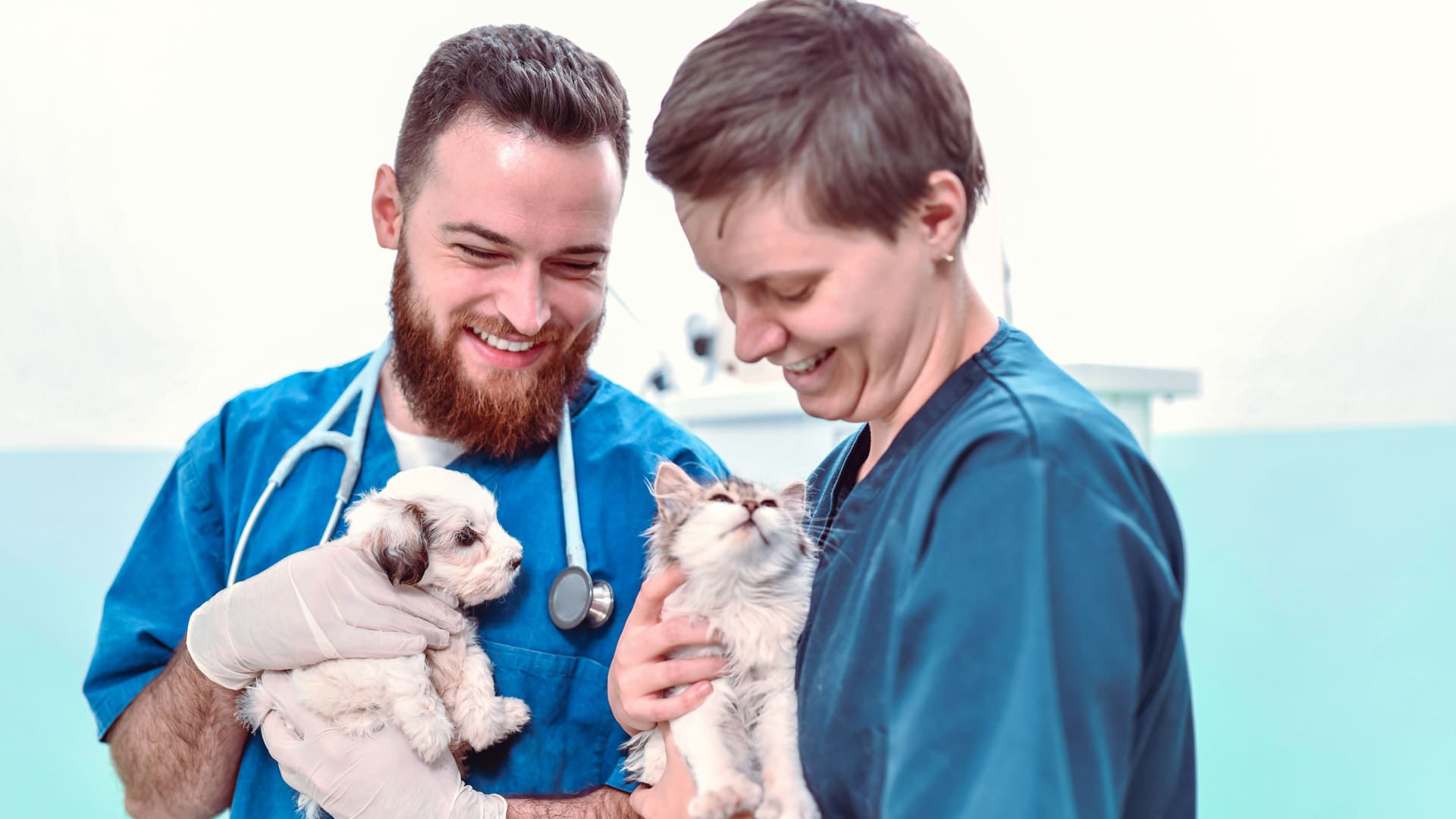 garanties mutuelles animaux