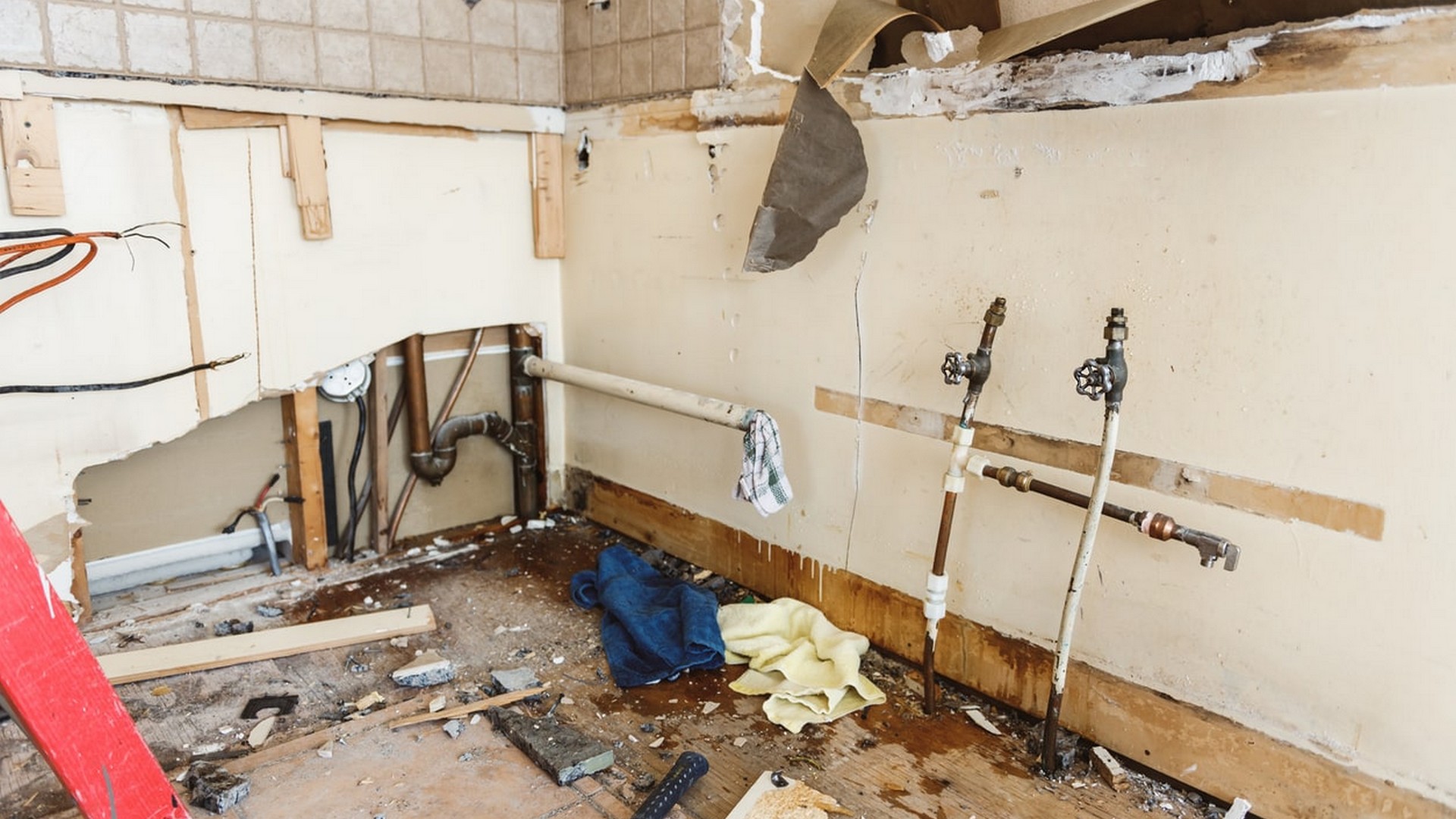 L’année 2024 a été marquée par des événements climatiques extrêmes, entraînant une augmentation 