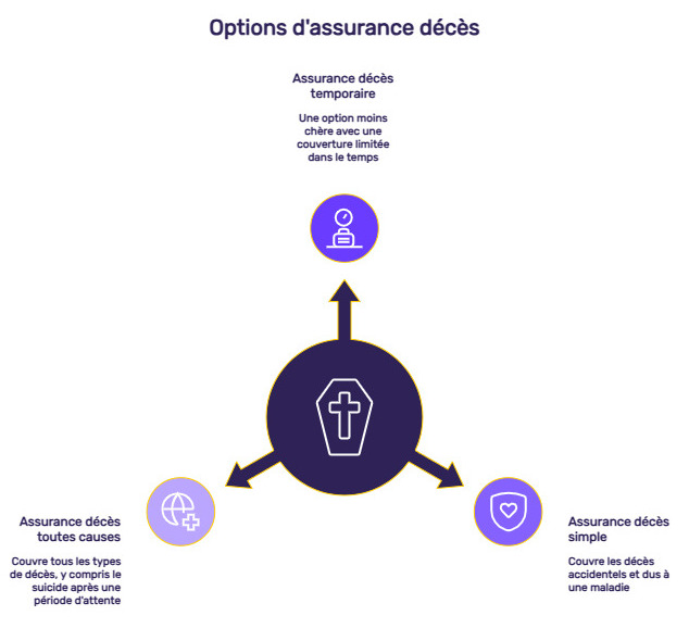 infographie assurance décès vie entière