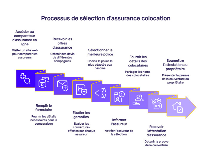 infographie colocataire