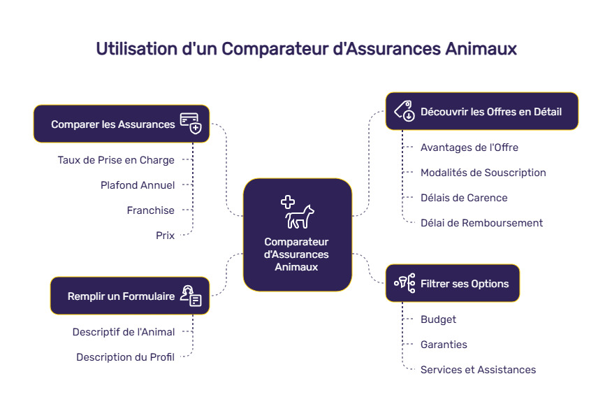infographie comparateur assurance animaux
