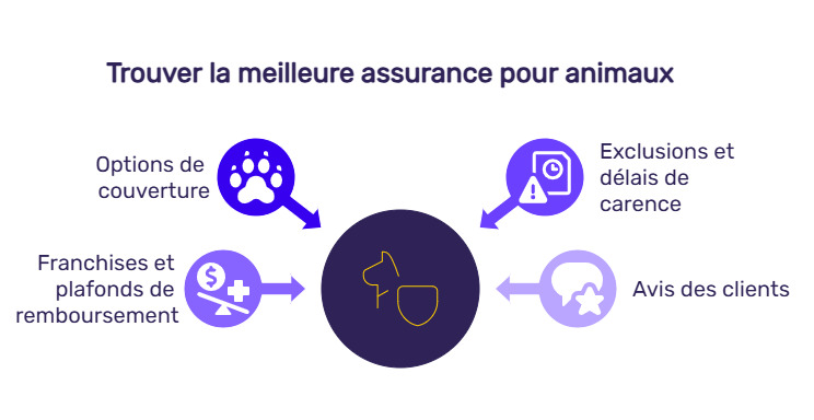 infographie assurance animaux