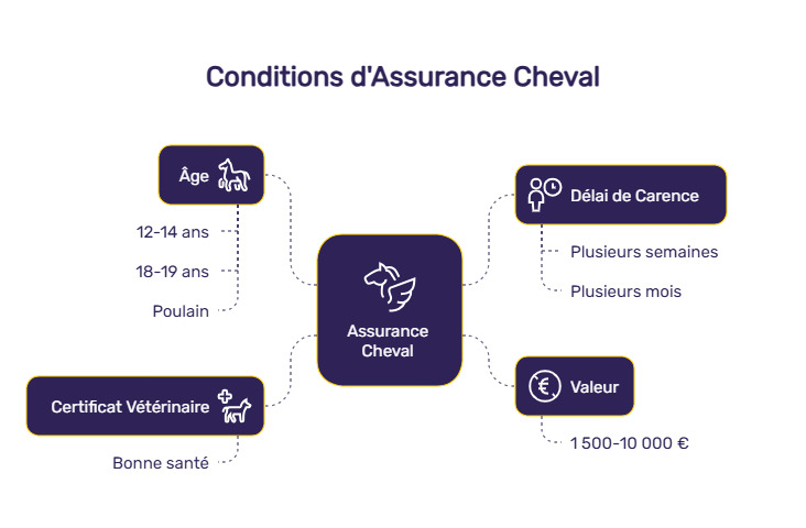 inforgraphie assurance cheval