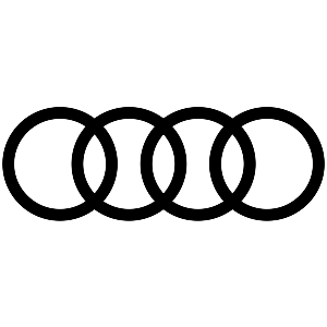 assurance Audi