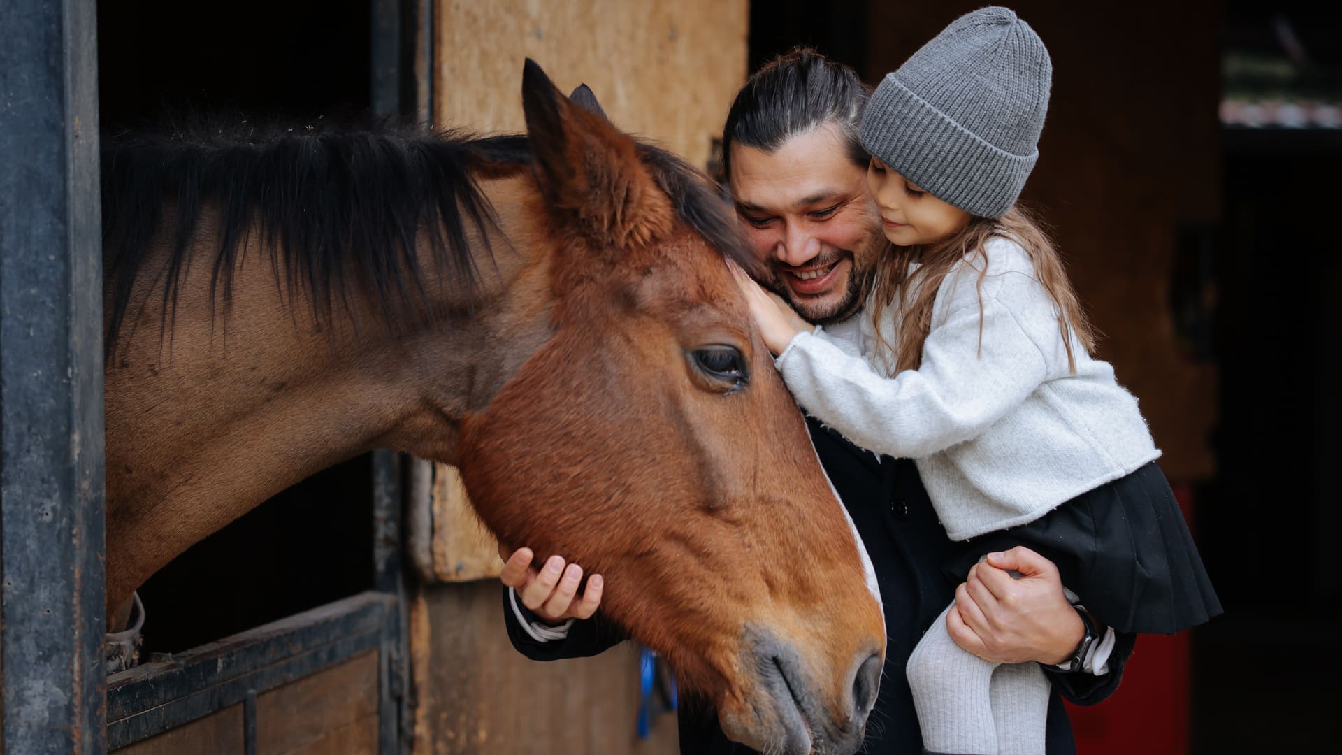 Meilleure assurance cheval