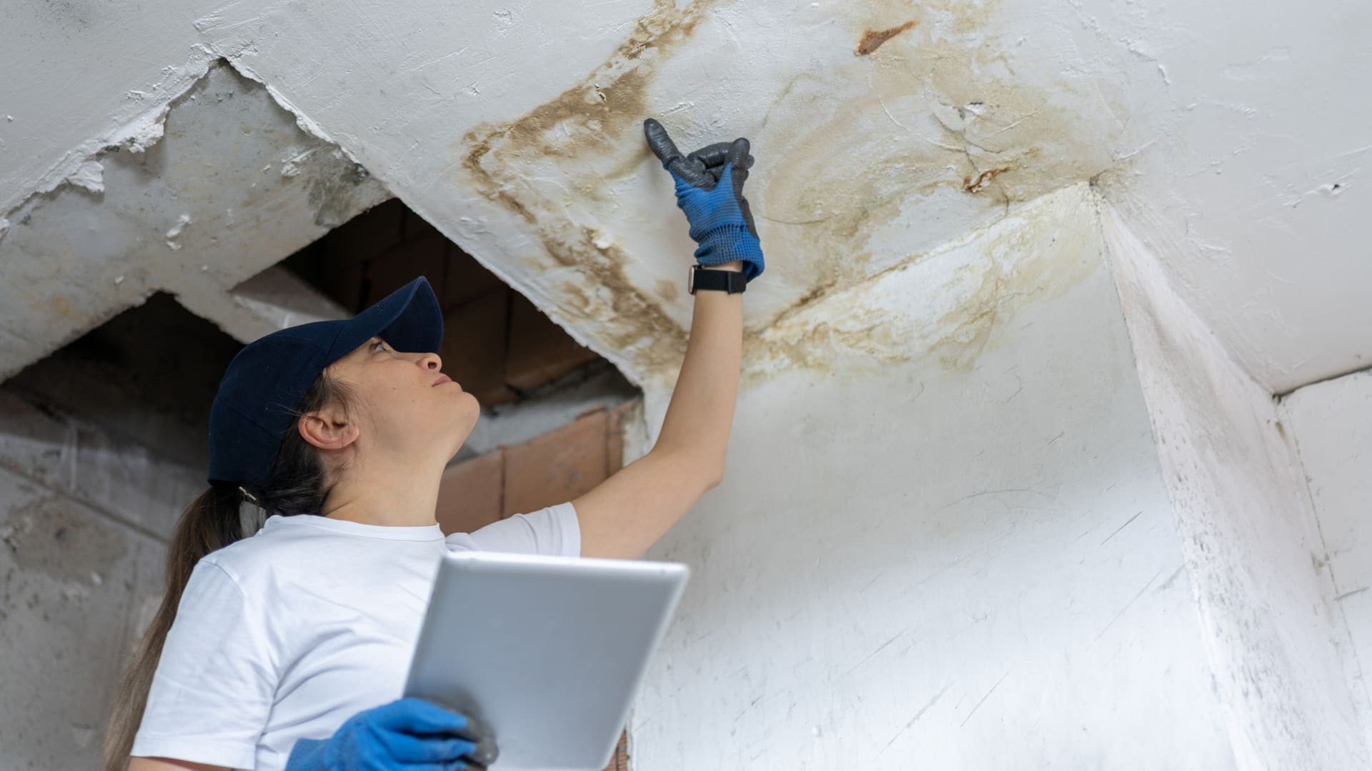 Moisissure : quelles sont les obligations du propriétaire ?