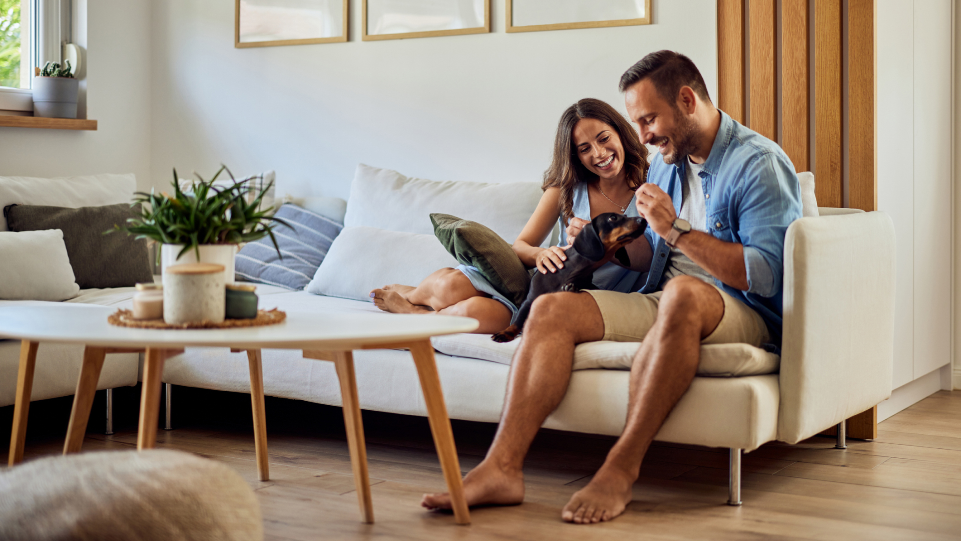 multirisque habitation