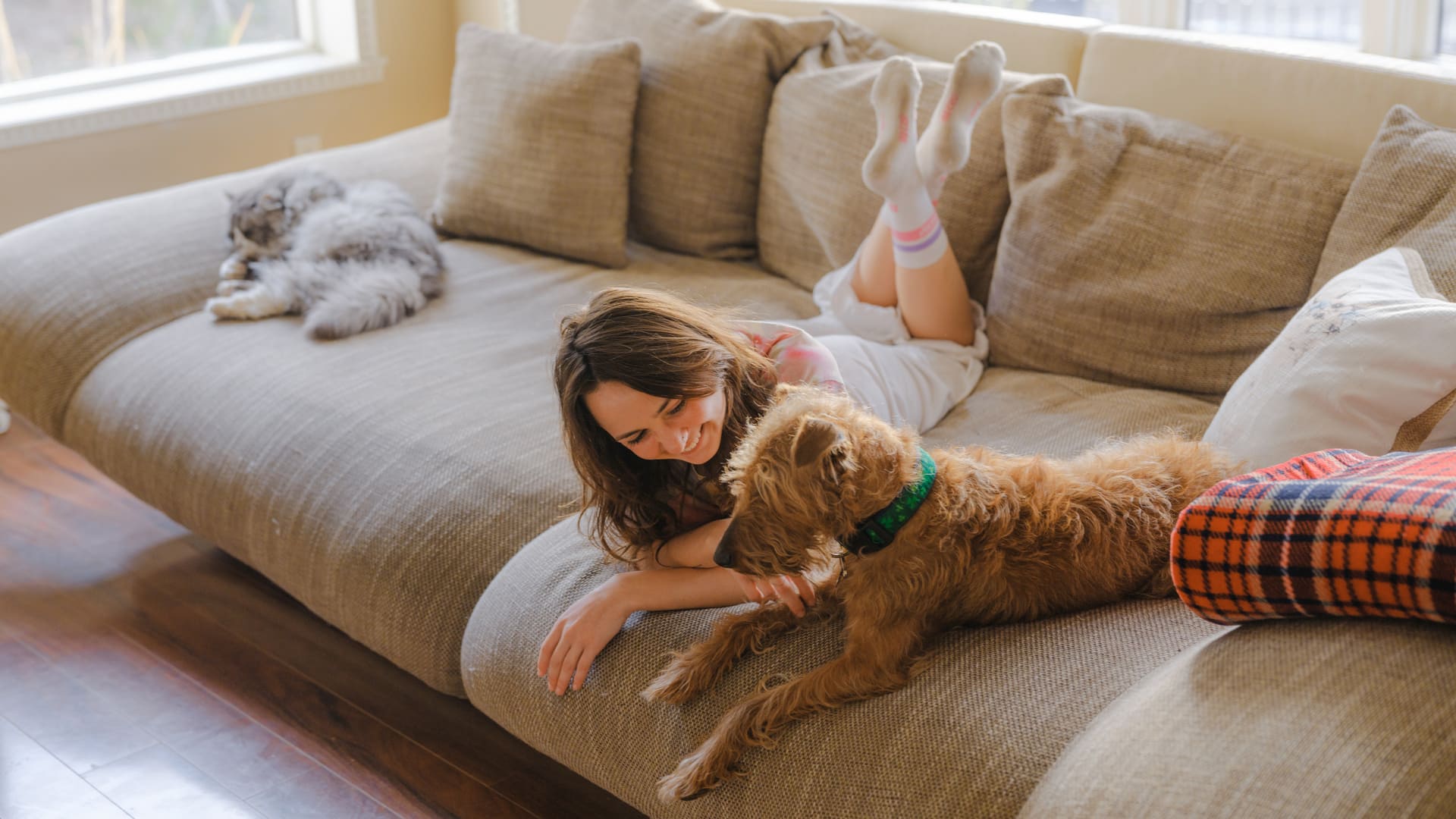 tarif mutuelle animaux