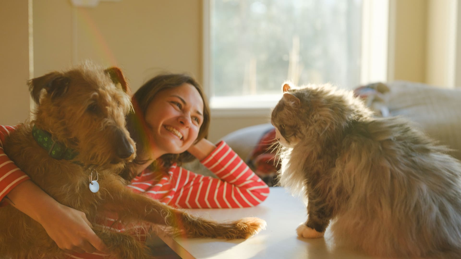 Assurance animaux sans franchise