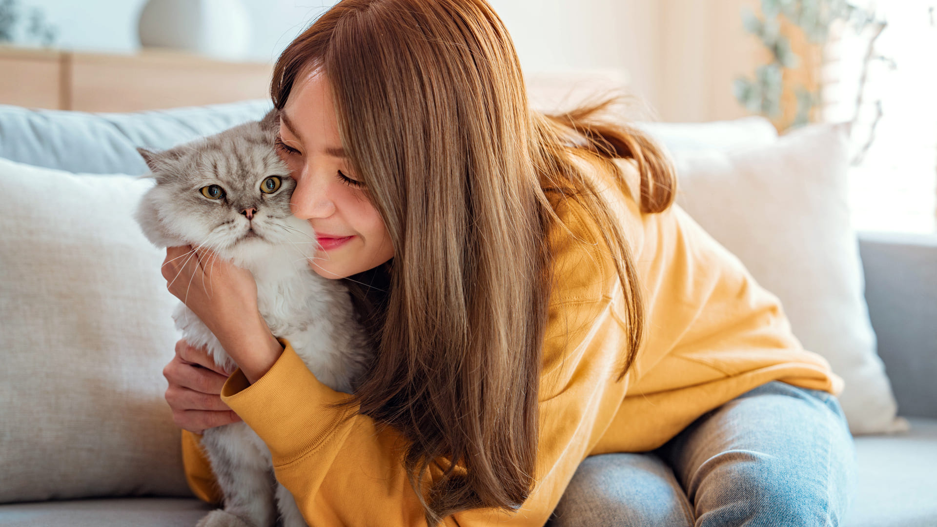 Assurance chat persan