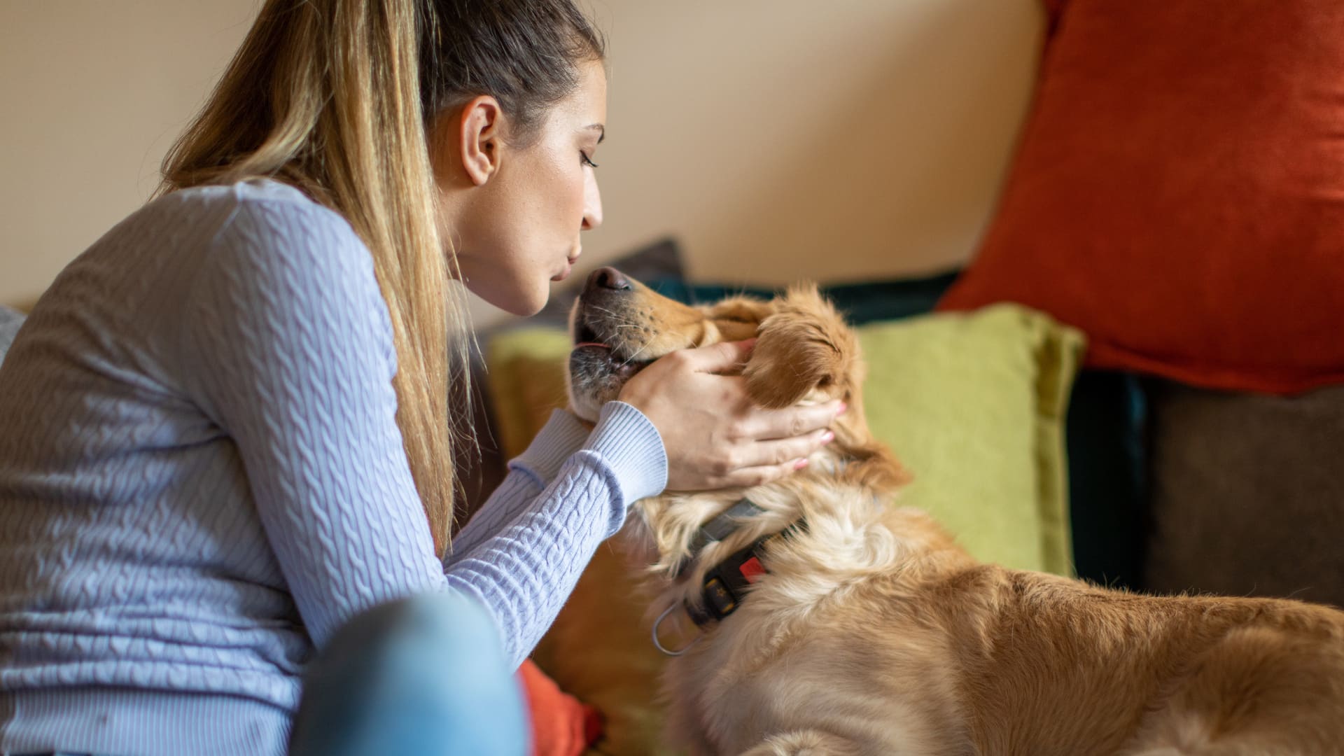 assurance vétérinaire 