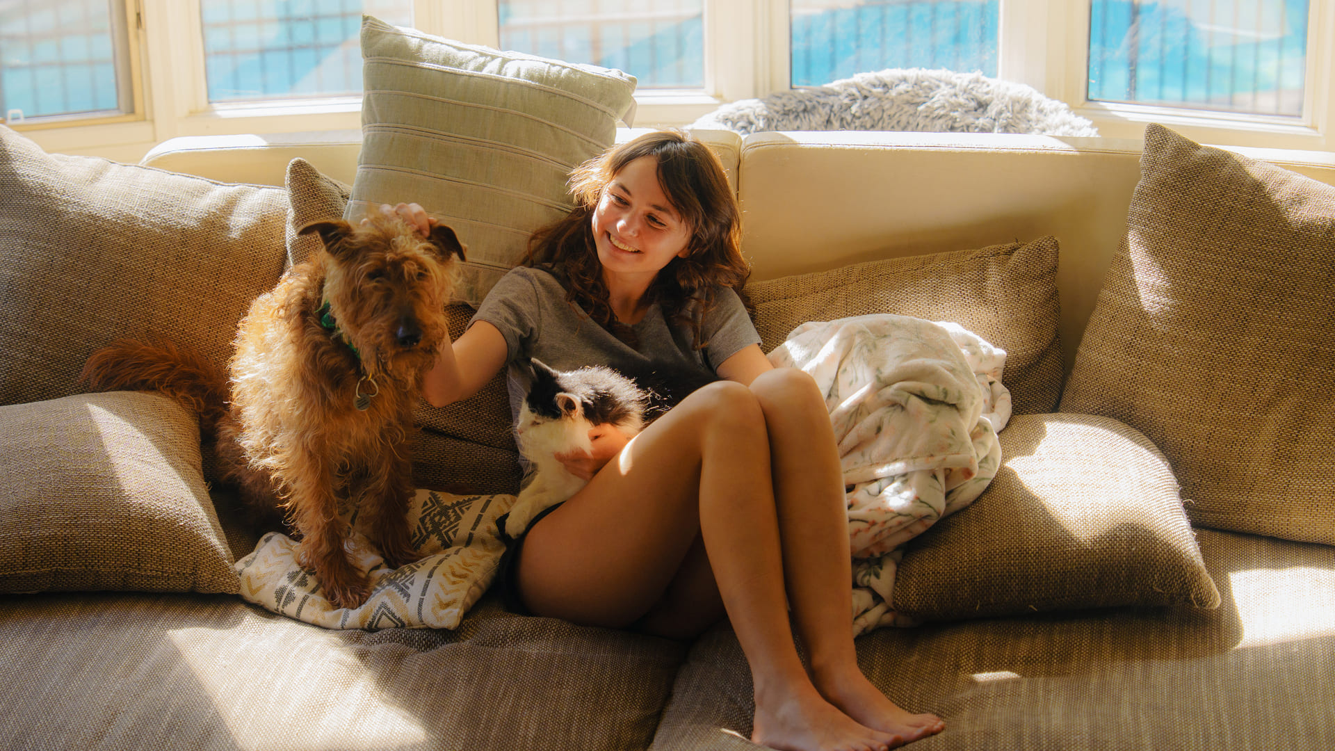 Résiliation mutuelle animaux