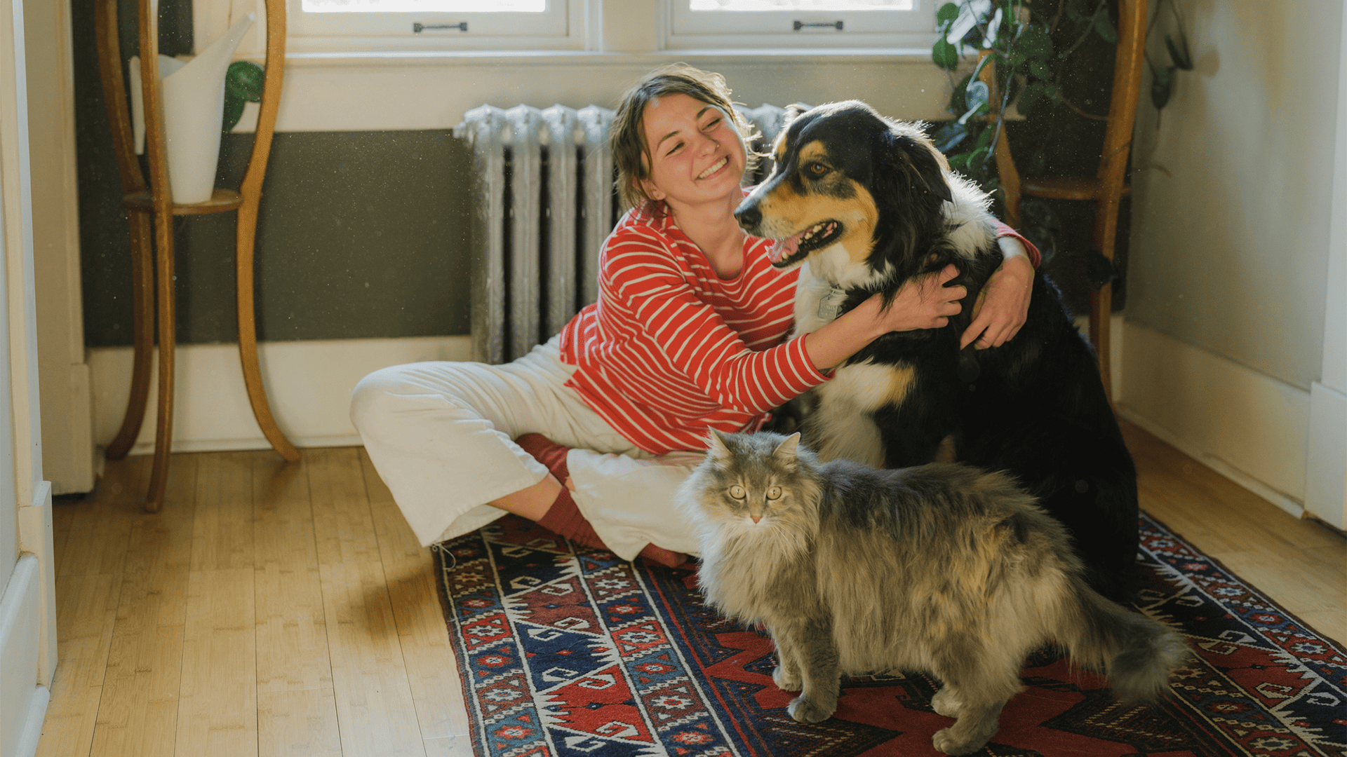 Baromètre de l'assurance animaux novembre 2025