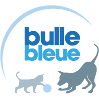 Bulle Bleue : mutuelle animaux