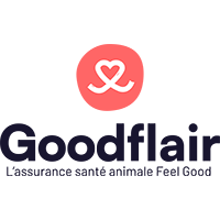 GOODFLAIR